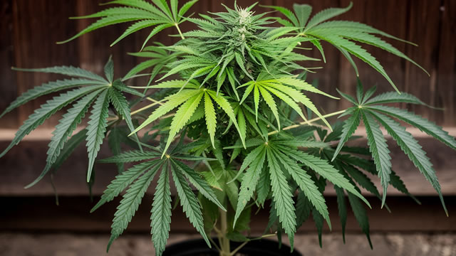 image for news Tilray Brands (TLRY) Upgraded to Buy: What Does It Mean for the Stock?