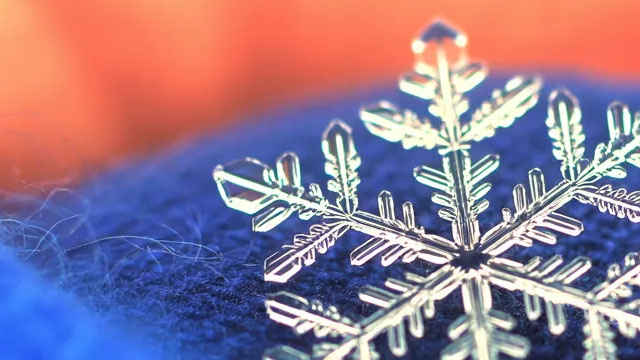 AI Fuels Snowflake's Accelerating Revenue Growth