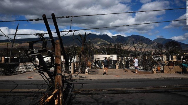 Fitch downgrades Hawaiian Electric to junk on worries over wildfire exposure