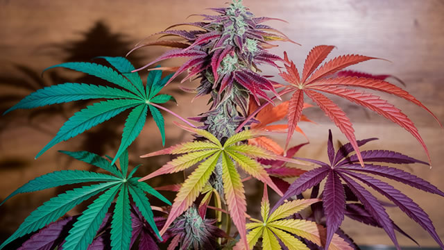 News image for The Scotts Miracle-Gro Company - 3 Marijuana Stocks For Cannabis Investors Who Speculate To Trade