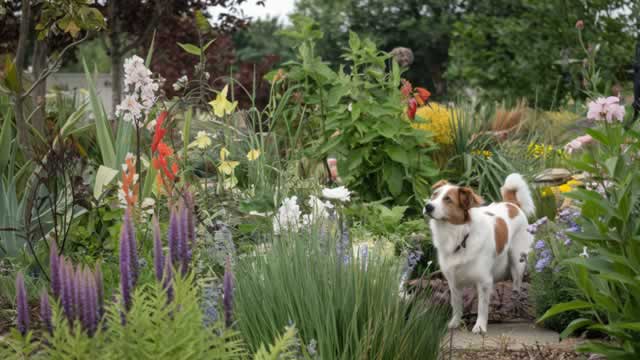 image for news Central Garden & Pet Posts Narrower-Than-Expected Q4 Loss, Sales Rise