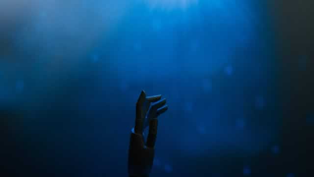 Palantir, AMD, Pfizer, and Many More Stocks to Watch