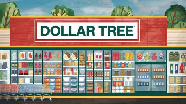 Dollar Tree stock plunges as it warns tariffs will squeeze margins despite demand for its cheap goods