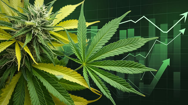 Tilray Q4 Results Show Major Problems