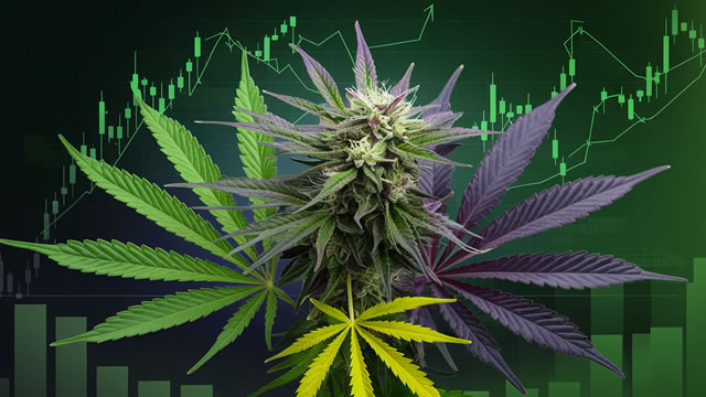 image for news Canopy Growth tops Q1 estimates on strong Canadian adult-use sales