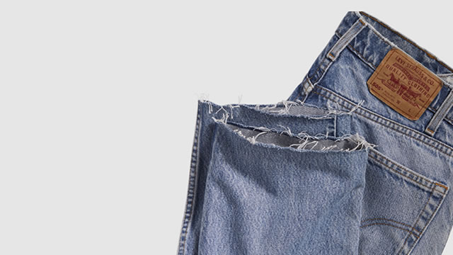 Levi Strauss: Organic Growth And A Healthy Dividend