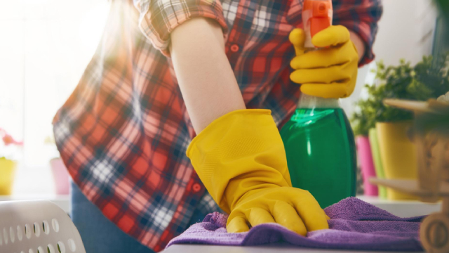 Are Consumer Staples Stocks Lagging Clorox (CLX) This Year?
