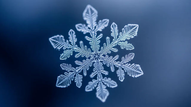 Snowflake's stock falls as investors weigh a surprise leadership shift