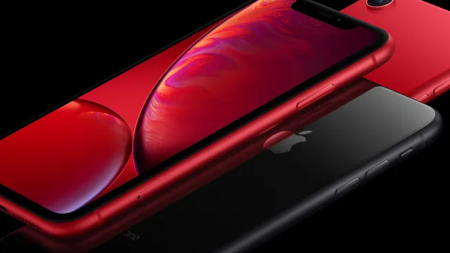 Apple Stock: Bear vs. Bull