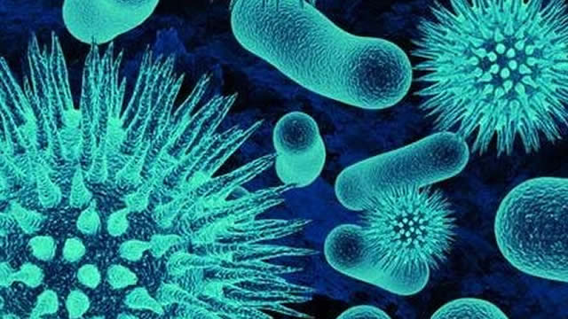 image for news Sarepta: Finally, A Little Relief For Bulls; I Expect More