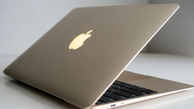 Apple Hardware Exec to Succeed Tim Cook as CEO