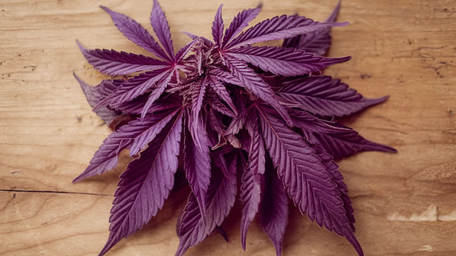 3 Marijuana Stocks For 2026 Investing