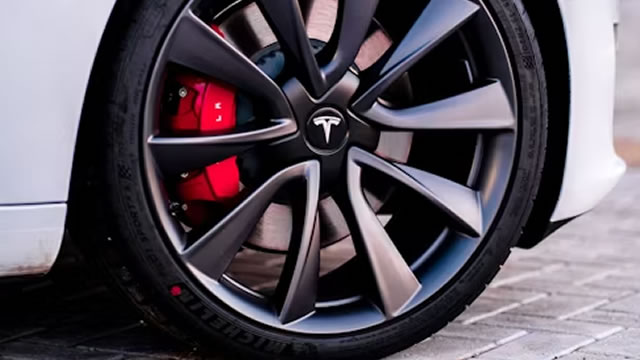 Michael Burry takes aim at Tesla's valuation and Musk's pay package