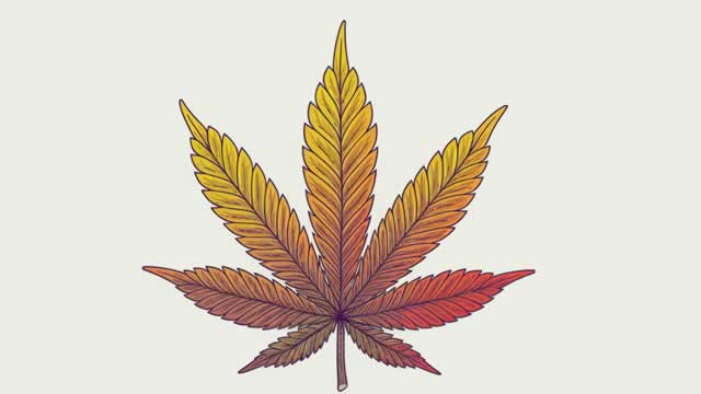 image for news President Trump signs executive order to reclassify marijuana, easing federal restrictions