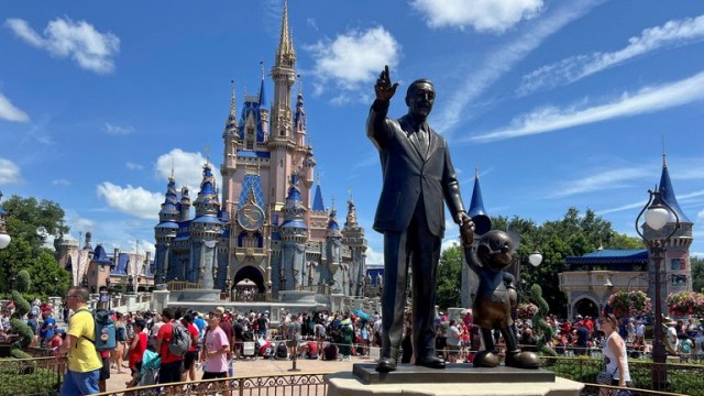 Black bear on the loose at Disney World forces parts of theme park to shut down