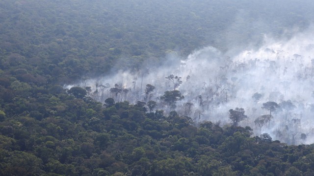 Environmentalists step up Amazon monitoring as fire season picks up