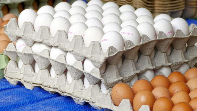 Is CalMaine Foods (CALM) Stock Outpacing Its Basic Materials Peers This Year?