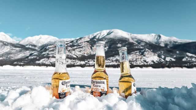 How Has Constellation Brands (STZ) Stock Done For Investors?
