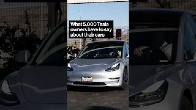 What do #Tesla owners really think of their cars? We asked them.