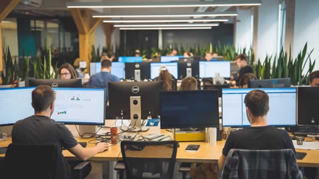 What does Palantir do?