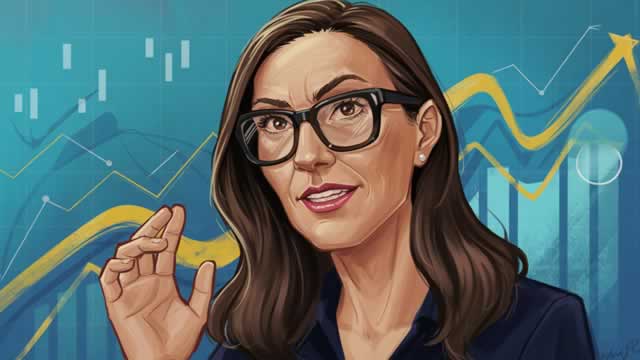 Cathie Wood Brushes Off This Market Worry as the Chip Rally Stalls