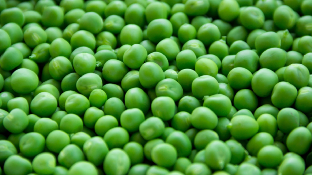 image for news Mission Produce vs. Dole: Which Fresh Produce Stock Holds the Reins?