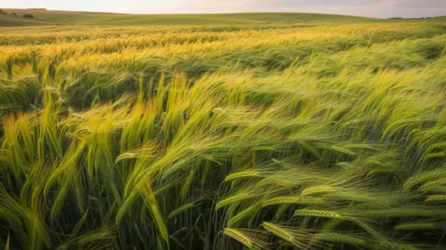 News image for The Mosaic Company - Mosaic: From Commodity Player To Strategic Agriculture Partner
