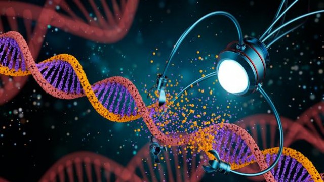 Here's Why You Should Buy Edward Lifesciences (EW) Stock Now