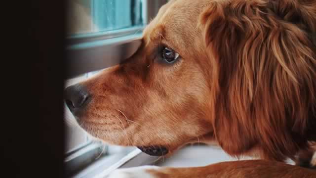 image for news Why Central Garden (CENT) is Poised to Beat Earnings Estimates Again