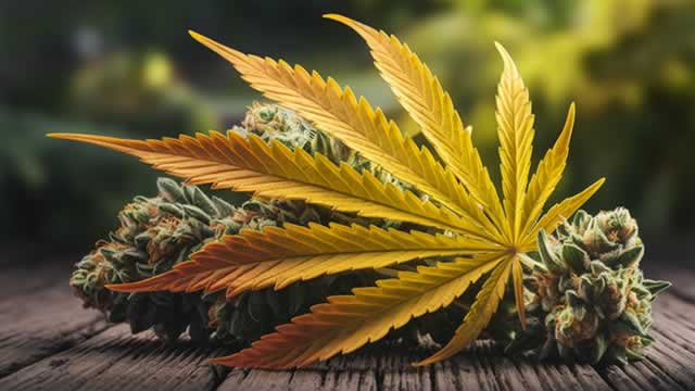Aurora Cannabis Calls Curaleaf Offer Inadequate, Urges Rejection