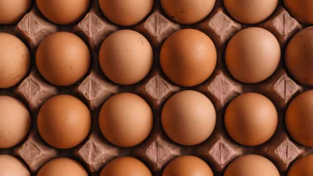 Egg Producers Manipulated Market, Keeping Prices High, Say Antitrust Authorities