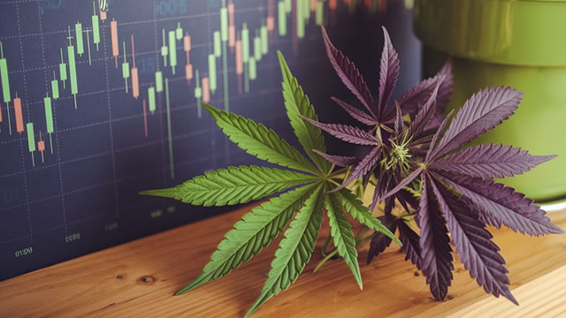 image for news Tilray Brands: Improving Fundamentals, De-Risked Balance Sheet, And A Re-Igniting Narrative