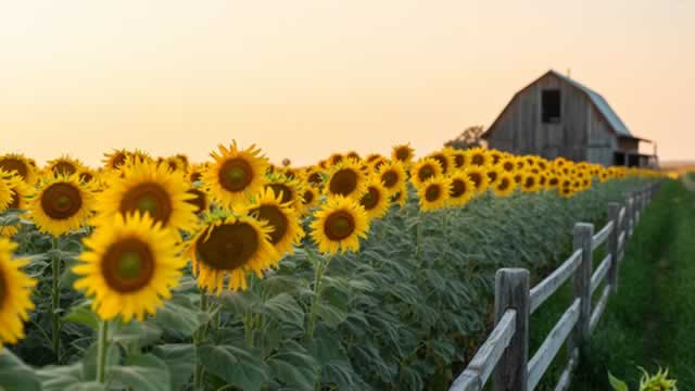 Scotts Miracle-Gro's Turnaround Is On Track