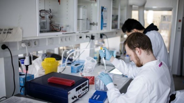 Is Pfizer Stock a Buy Now?