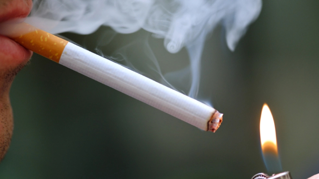 British American Tobacco: Mind The Vulture