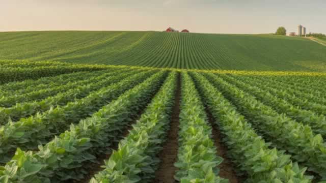 image for news USDA Secretary Rollins on China's soybean purchase promise
