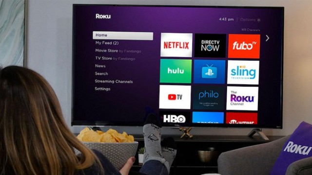 Roku Stock: Bear vs. Bull