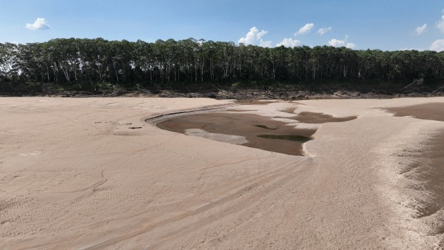 Brazil sets up task force for unprecedented drought in Amazon - minister