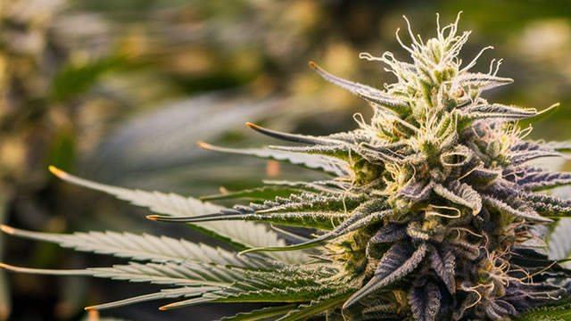 Trump says he is considering executive order to reclassify marijuana