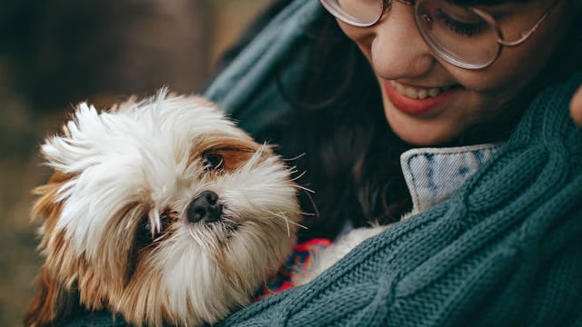 Trade Tracker: Stephanie Link buys mores Zoetis