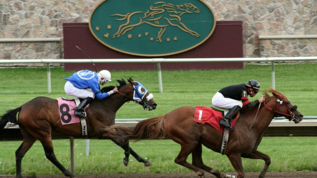 image for news DraftKings and MGM shares rise as new bill threatens to ban sports gambling on Kalshi, Polymarket