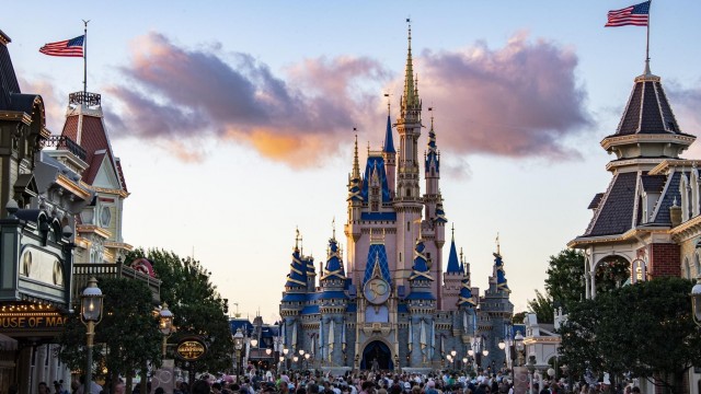 Disney World Shuts Down Rides Because Of Loose Bear