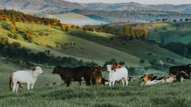 image for news Here's Why Phibro Animal Health (PAHC) is a Strong Growth Stock