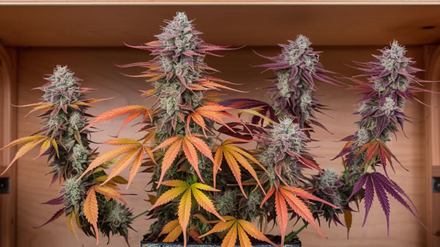 image for news Aurora Cannabis Inc. (ACB) Reports Q1 Loss, Beats Revenue Estimates