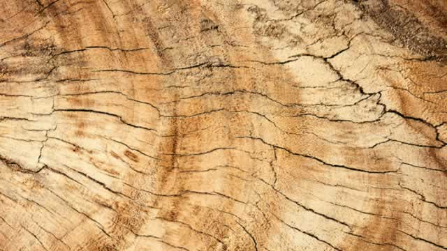 Trump Orders Tariffs on Timber, Lumber, Kitchen Cabinets