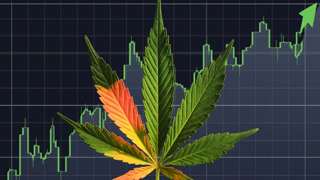 Here's why Tilray Brands stock has crashed after cannabis reclassification