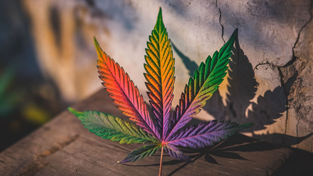 How Trump's marijuana reclassification could impact medical research