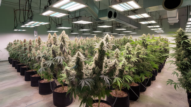 image for news Canopy Growth Corporation (CGC) Reports Q1 Loss, Tops Revenue Estimates