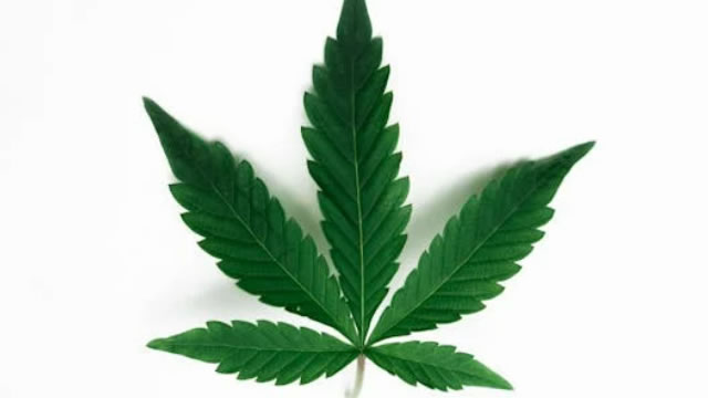 3 Marijuana Stocks To Watch In 2026 That Could Soon Rise In Trading