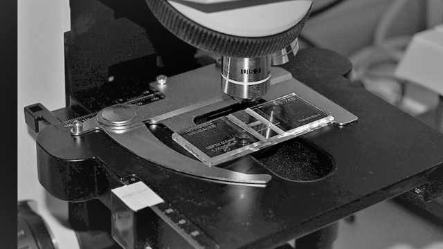 image for news Powell Industries, Inc. (POWL) Is a Trending Stock: Facts to Know Before Betting on It